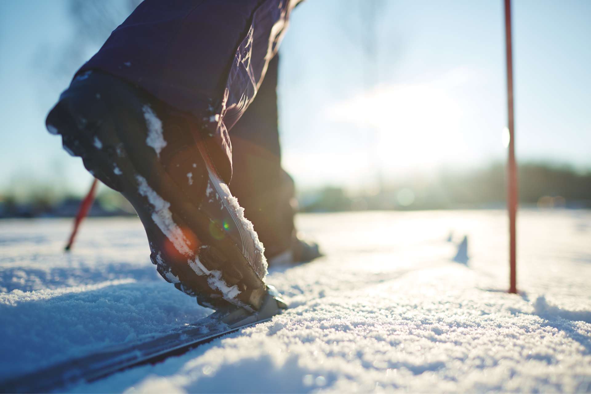 close up of cross country ski boot